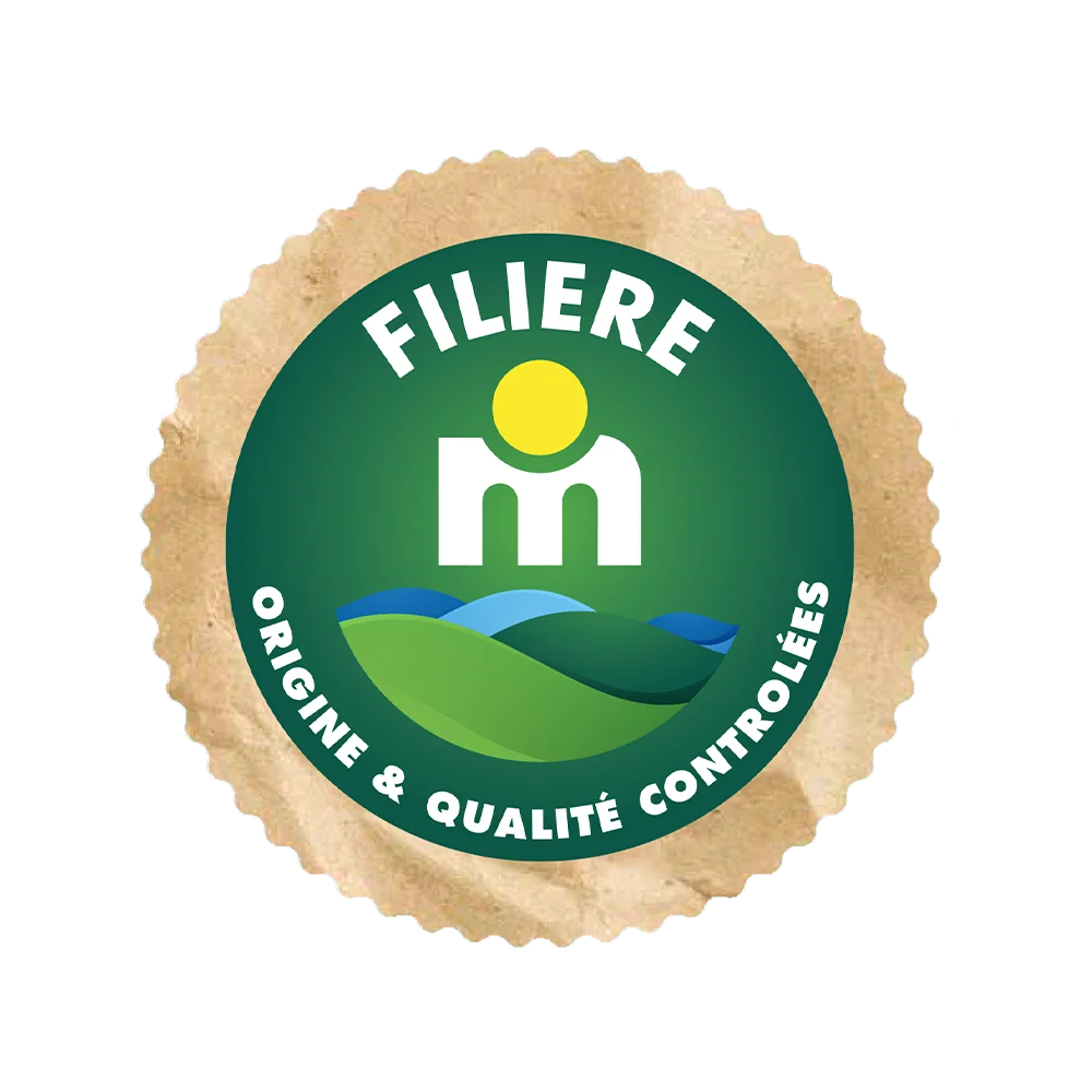 Filière M - Partenaire Arbor